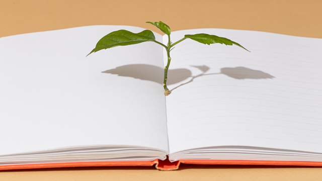 チャレンジスクールとは？｜制度の特徴・メリットと向いている子を解説